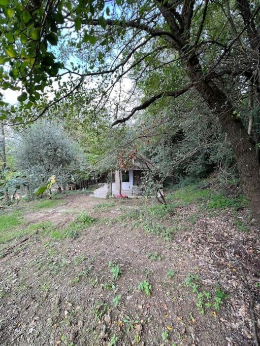 Eco-Chic Retreat: Countryside Oasis Near Florence Pozzolatico Esterno foto